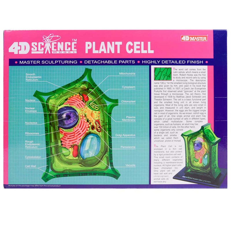 4D Plant Cell Education Plus More